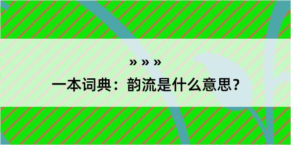 一本词典：韵流是什么意思？