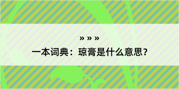 一本词典：琼膏是什么意思？