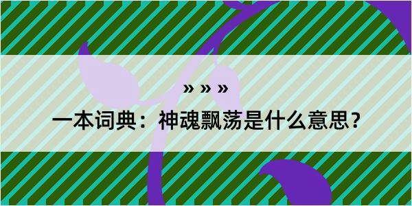 一本词典：神魂飘荡是什么意思？