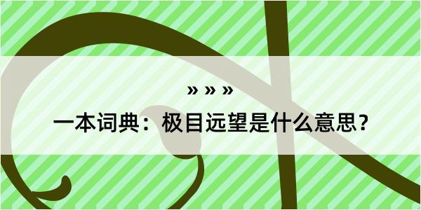 一本词典：极目远望是什么意思？