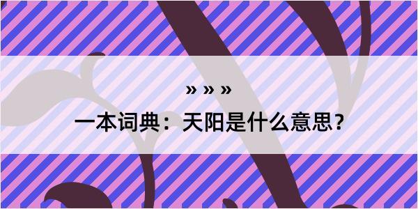 一本词典：天阳是什么意思？