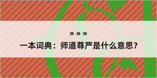 一本词典：师道尊严是什么意思？