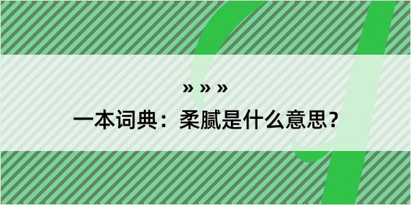 一本词典：柔腻是什么意思？