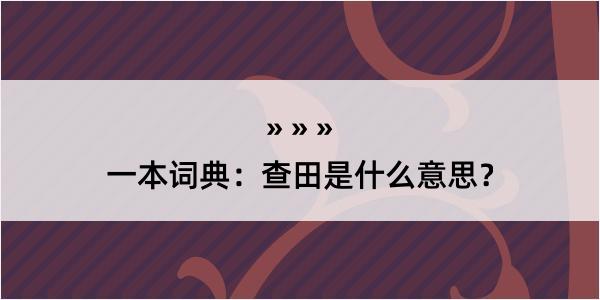 一本词典：查田是什么意思？