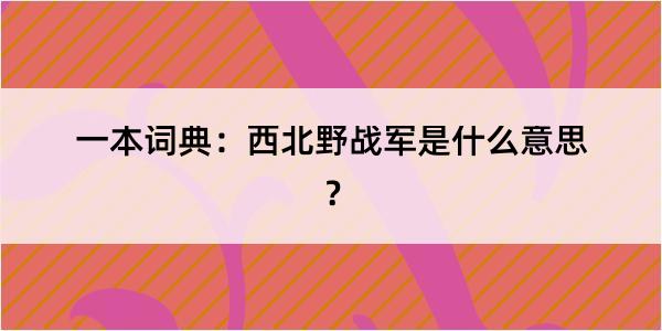 一本词典：西北野战军是什么意思？