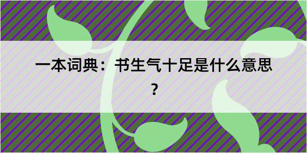 一本词典：书生气十足是什么意思？