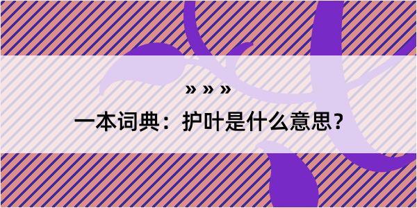 一本词典：护叶是什么意思？