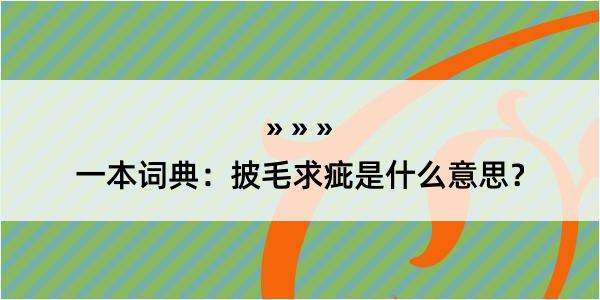 一本词典：披毛求疵是什么意思？