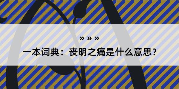 一本词典：丧明之痛是什么意思？