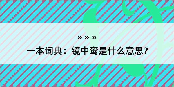 一本词典：镜中鸾是什么意思？