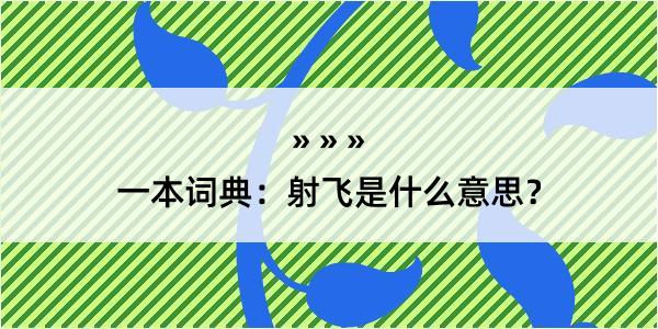 一本词典：射飞是什么意思？