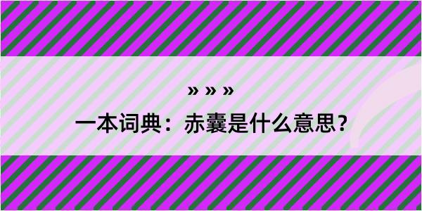 一本词典：赤囊是什么意思？