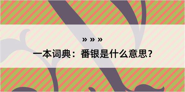 一本词典：番银是什么意思？