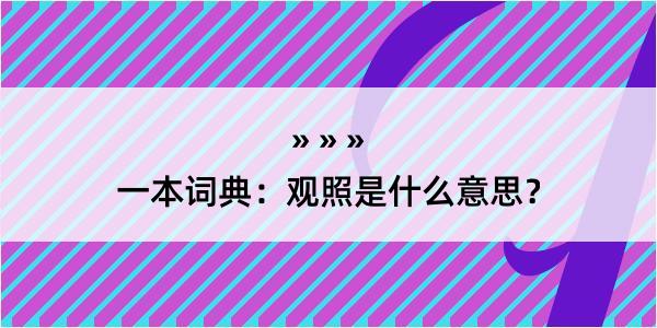 一本词典：观照是什么意思？