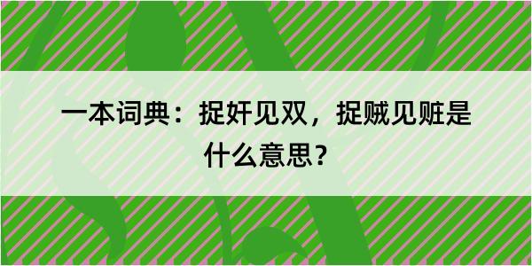 一本词典：捉奸见双，捉贼见赃是什么意思？