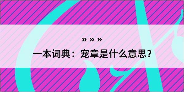 一本词典：宠章是什么意思？