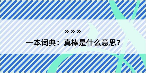 一本词典：真棒是什么意思？