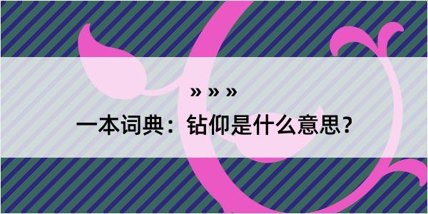 一本词典：钻仰是什么意思？