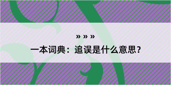 一本词典：追误是什么意思？