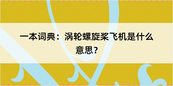 一本词典：涡轮螺旋桨飞机是什么意思？