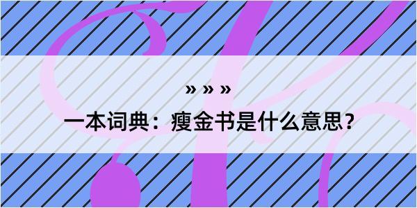 一本词典：瘦金书是什么意思？