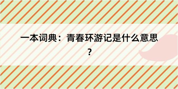 一本词典：青春环游记是什么意思？