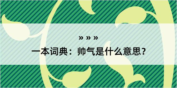 一本词典：帅气是什么意思？