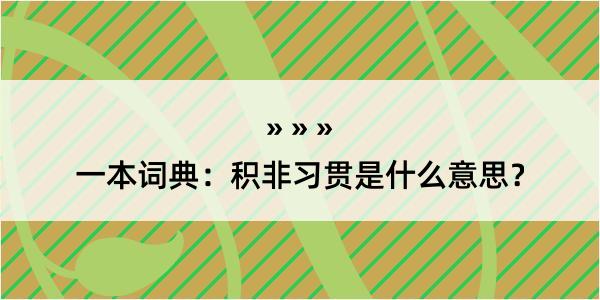 一本词典：积非习贯是什么意思？