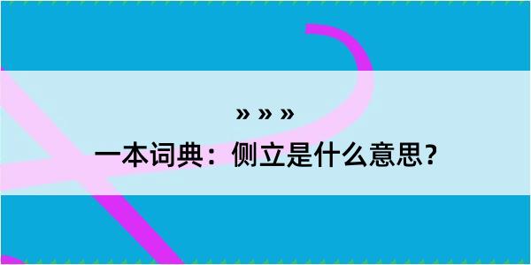 一本词典：侧立是什么意思？