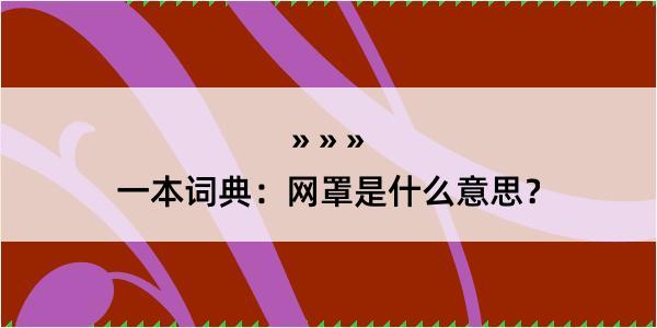 一本词典：网罩是什么意思？