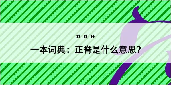 一本词典：正脊是什么意思？