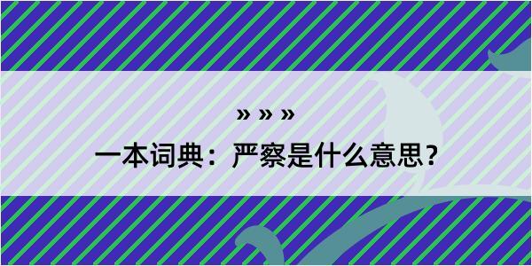 一本词典：严察是什么意思？