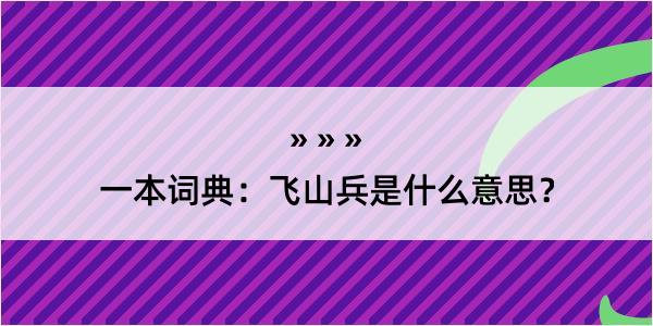 一本词典：飞山兵是什么意思？