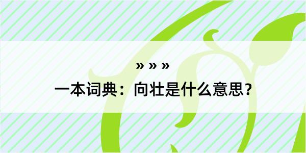 一本词典：向壮是什么意思？