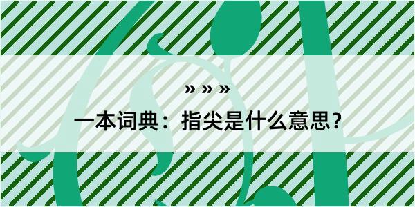 一本词典：指尖是什么意思？