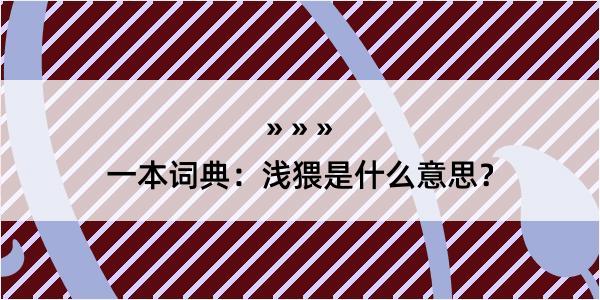 一本词典：浅猥是什么意思？