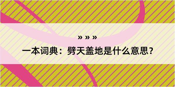 一本词典：劈天盖地是什么意思？