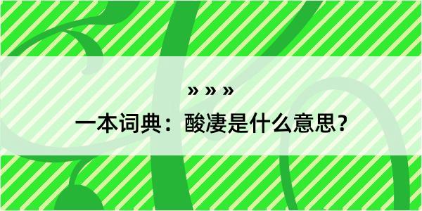 一本词典：酸凄是什么意思？