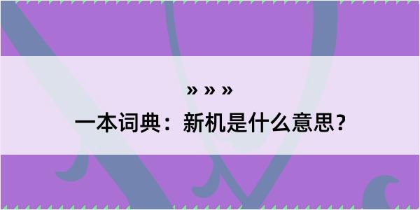 一本词典：新机是什么意思？