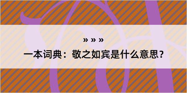 一本词典：敬之如宾是什么意思？