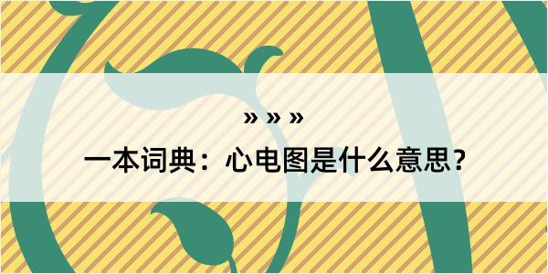 一本词典：心电图是什么意思？