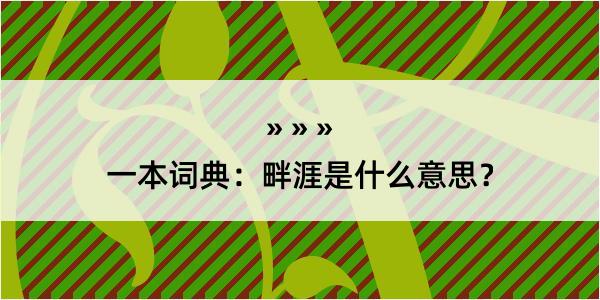 一本词典：畔涯是什么意思？