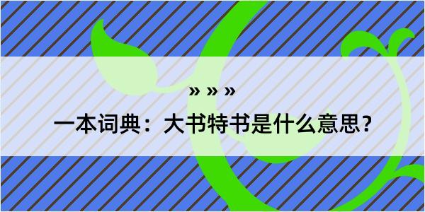 一本词典：大书特书是什么意思？