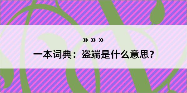 一本词典：盗端是什么意思？