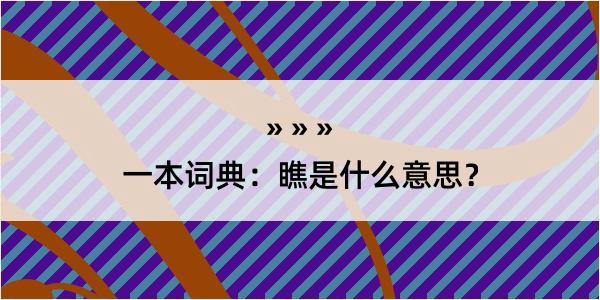 一本词典：瞧是什么意思？