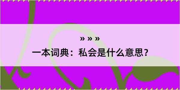 一本词典：私会是什么意思？