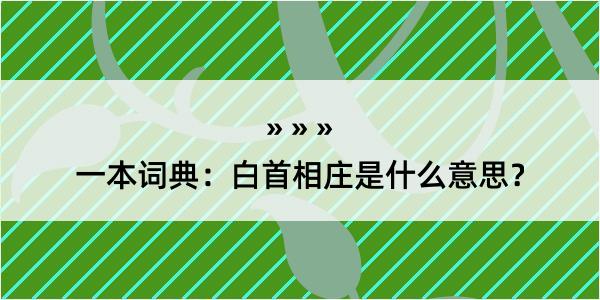 一本词典：白首相庄是什么意思？