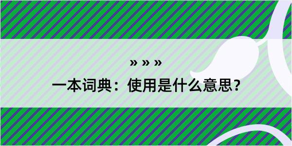 一本词典：使用是什么意思？