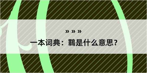 一本词典：鸅是什么意思？