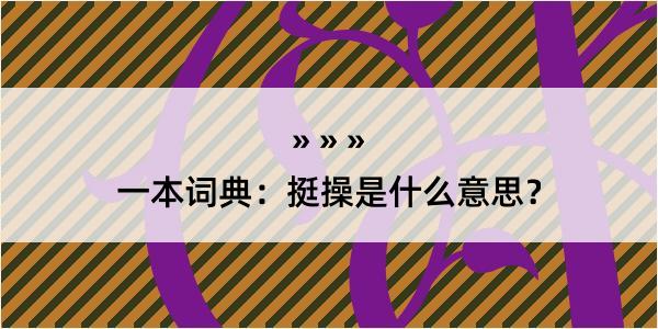 一本词典：挺操是什么意思？